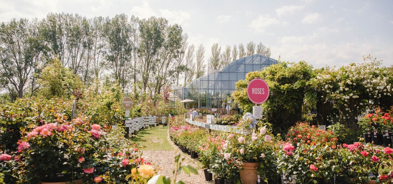 Welcome to Groves Welcome to Groves