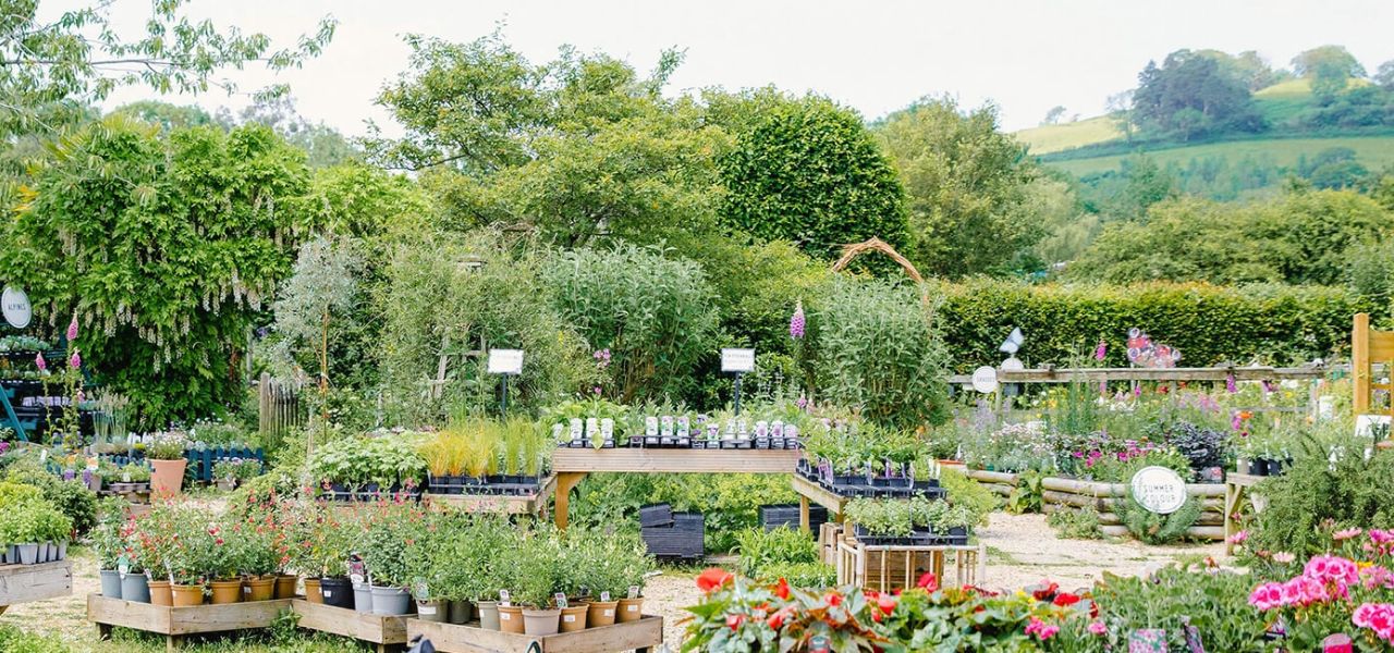 Welcome to Little Groves Welcome to Little Groves