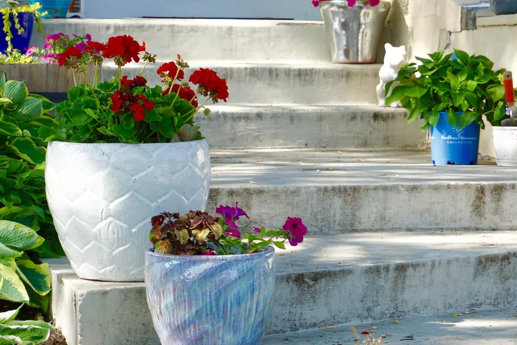 7 container gardening mistakes to avoid