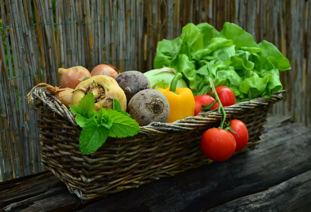 7 great vegetable gardening hacks