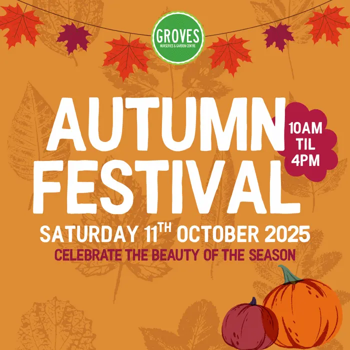 Autumn Festival
