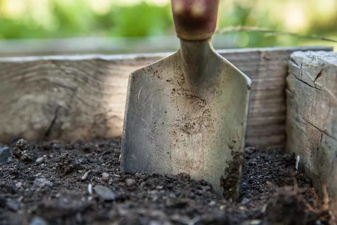 Everything you need to know about gardening tools