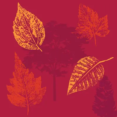 Groves Tree Festival
