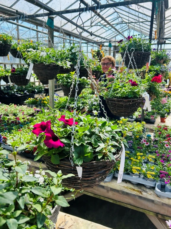 Hanging baskets