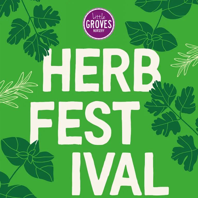 Herb Festival at Little Groves, Beaminster