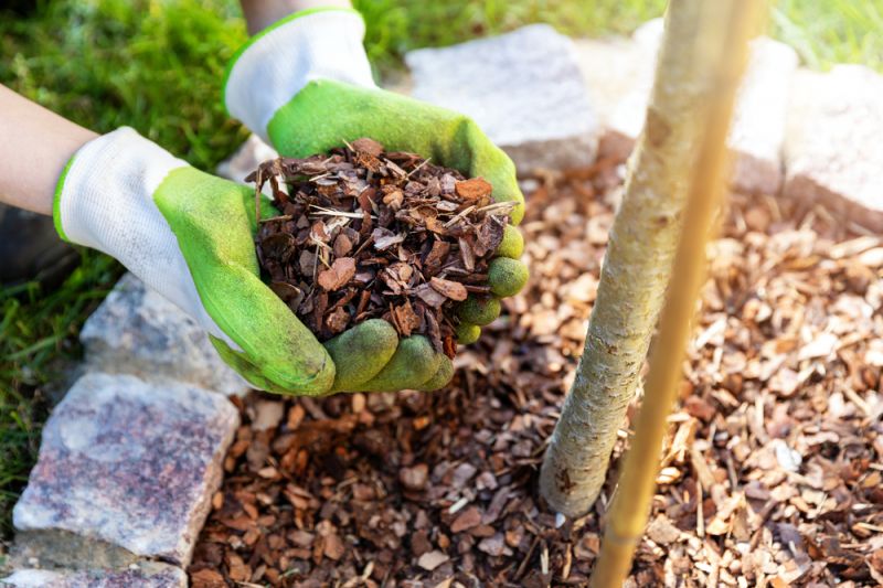 Mulch your garden