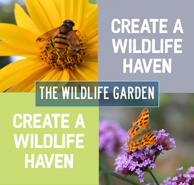 The Wildlife Garden