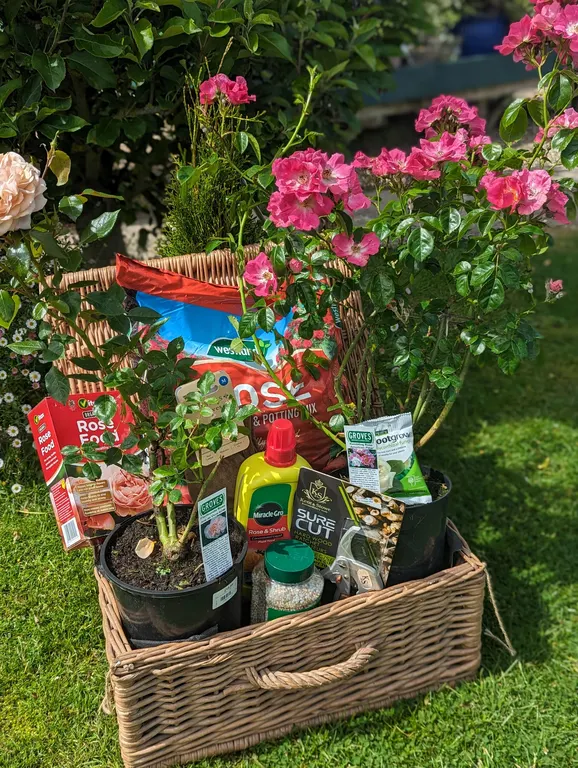 Win a rose care hamper