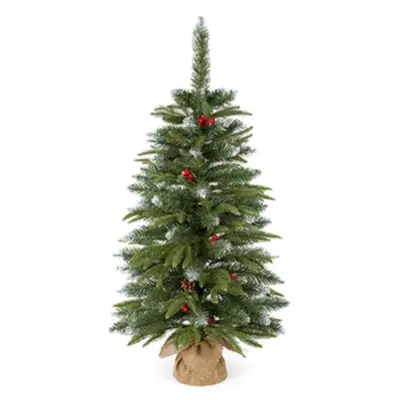 Premier Berry Tree 3ft