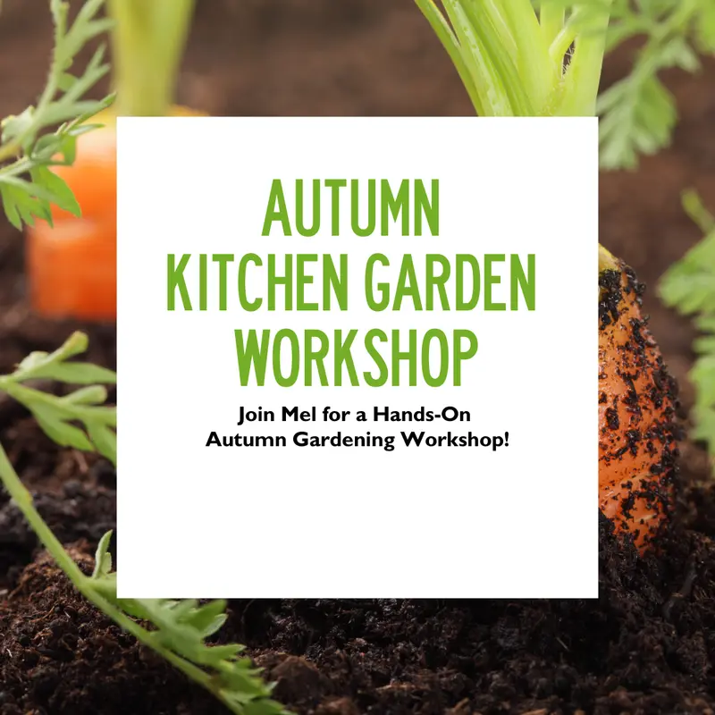 Autumn Kitchen Garden Workshop 20 Sep