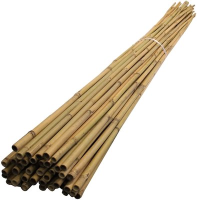 Bamboo Canes 4Ft