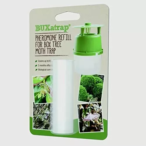 BUXatrap Pheromone Refill for Box Tree Moth Trap