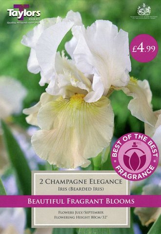Best of the Best Fragrance Iris Champagne Elegance