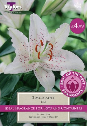 Best of the Best Fragrance Lily Muscadet