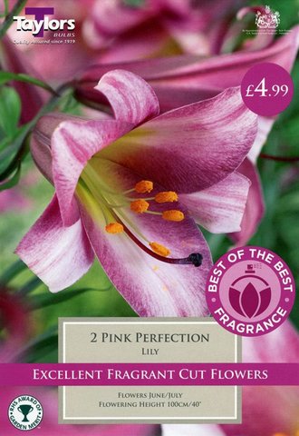 Best of the Best Fragrance Lily Pink Perfection