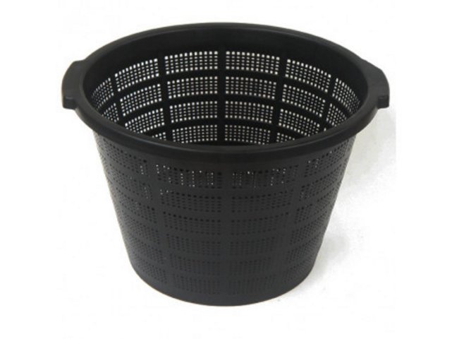 Jumbo Lily Basket