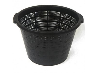 Jumbo Lily Basket