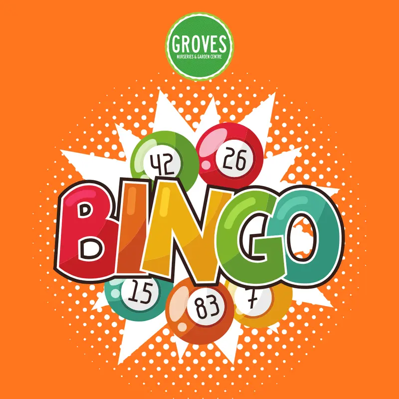 Bingo Night in Ivy House 16 Oct