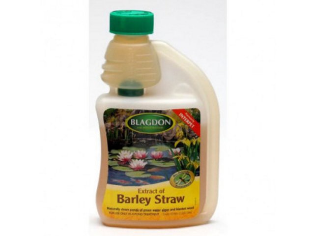 Pond Barley Straw 500ml