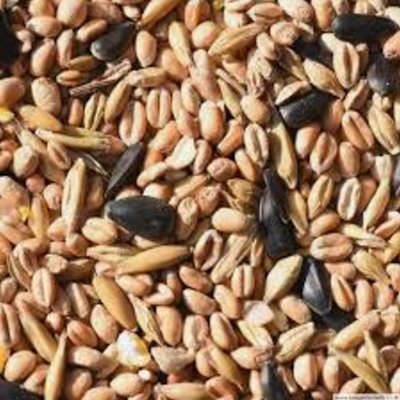 Wild Bird Seed 20kg