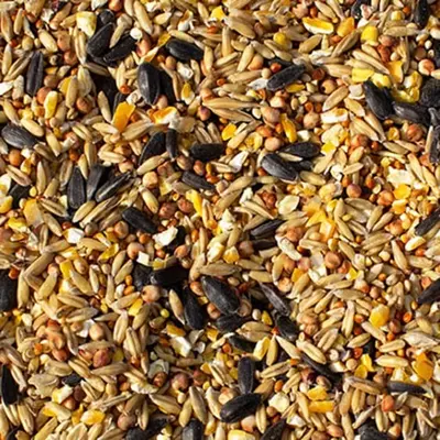 Loose Feed: Wild Bird Seed Price Per Kg
