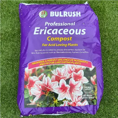 Bulrush Ericaceous 60L - image 1