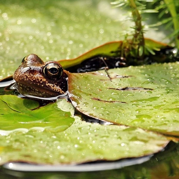 Chemicals & Controls