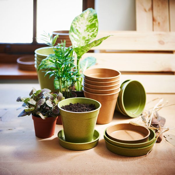 Plastic Pots & Saucers