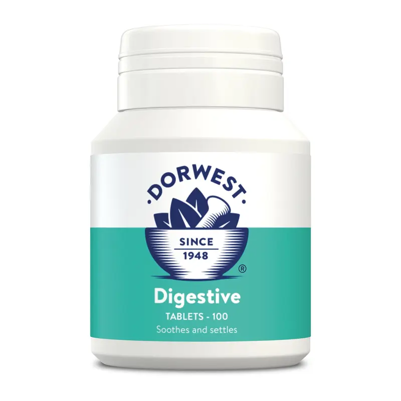 Dorwest Digestive Tablets 100 - image 1