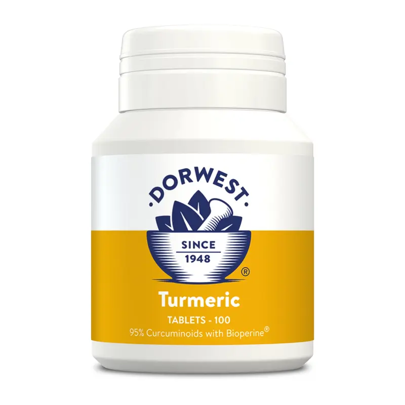 Dorwest Turmeric Tablets 100 - image 1