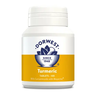 Dorwest Turmeric Tablets 100 - image 1