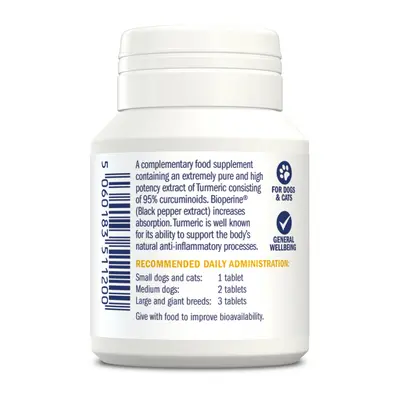 Dorwest Turmeric Tablets 100 - image 2