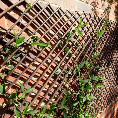 Expanding Willow Trellis 1.8m x 0.9m