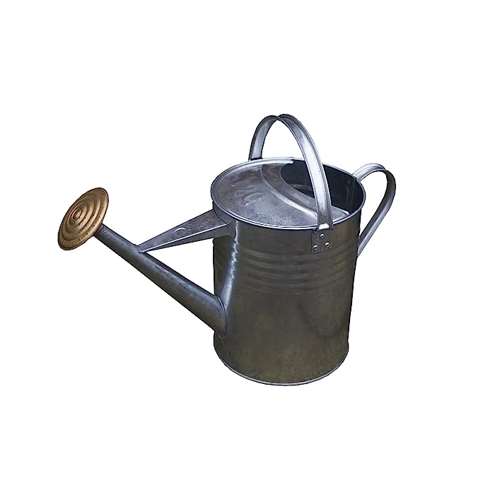 Galvanised Watering Can 9L Groves Nurseries & Garden Centre