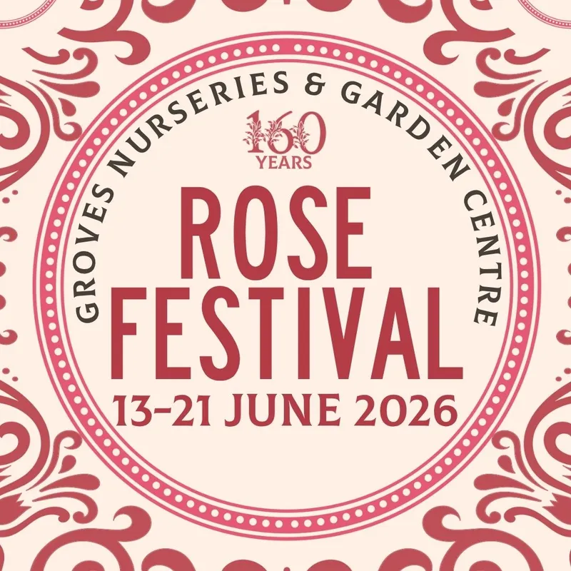 Groves Rose Festival 13 - 21 Jun