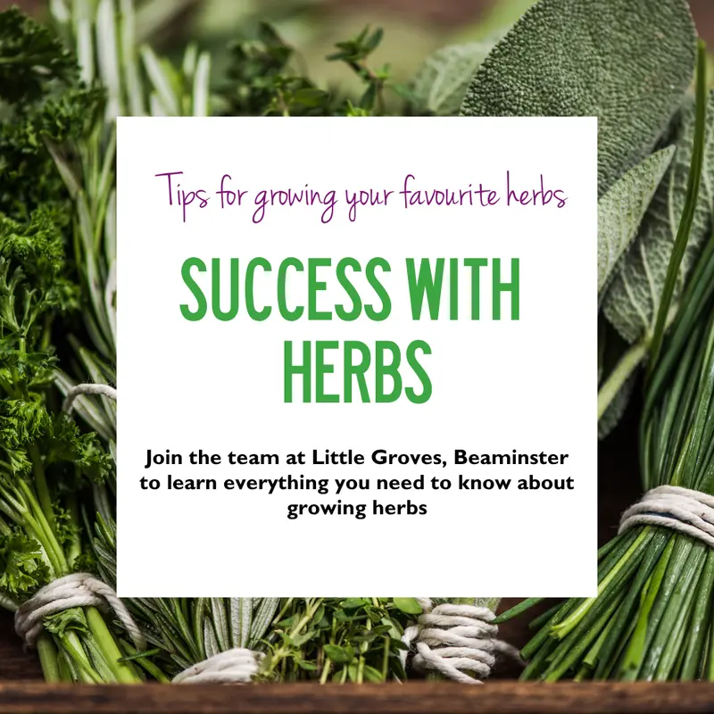 Herb Workshop at Little Groves 19 Jul