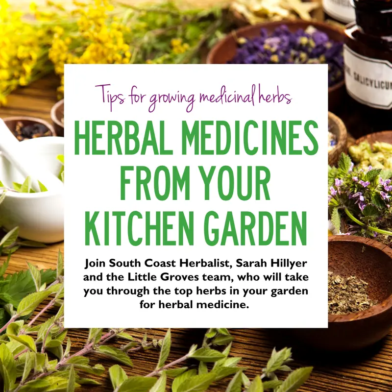 Herbal Medicines from Your Kitchen Garden with Sarah Hillyer at Little Groves - 19 Jul