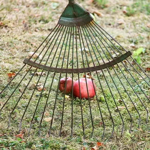 Hoes, Rakes & Weeders