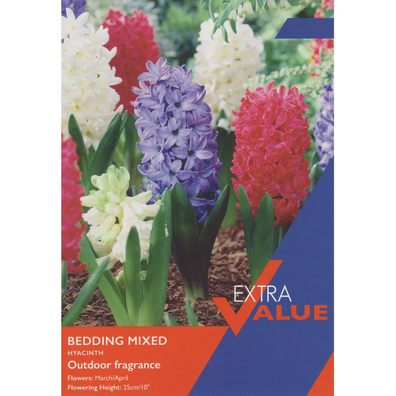 Taylors Extra Value Hyacinth Bedding Mixed