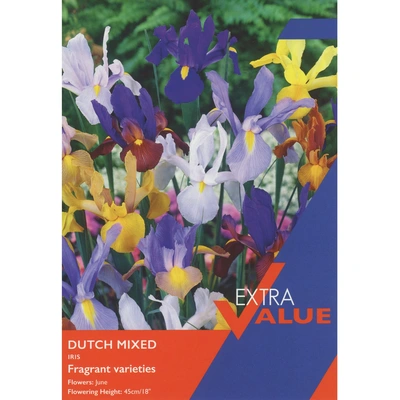Taylors Extra Value Iris Dutch Mixed