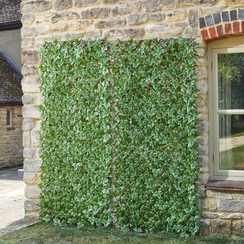Ivy leaf trellis 180x60cm