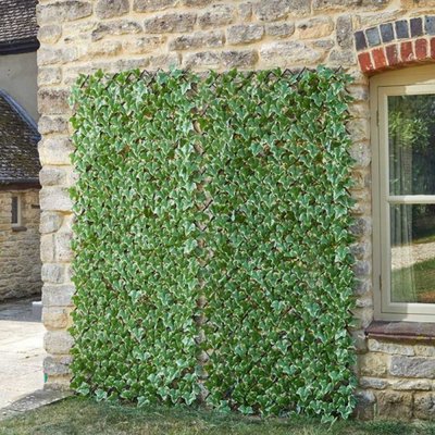Ivy leaf trellis 180x60cm