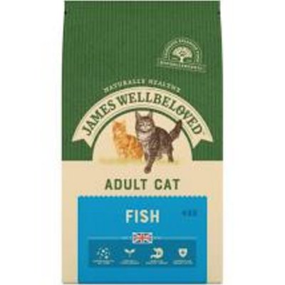 James Wellbeloved Cat Adult Fish 300g