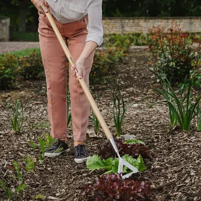 Kent & Stowe Garden Life Compact Stainless Steel Dutch Hoe - image 4