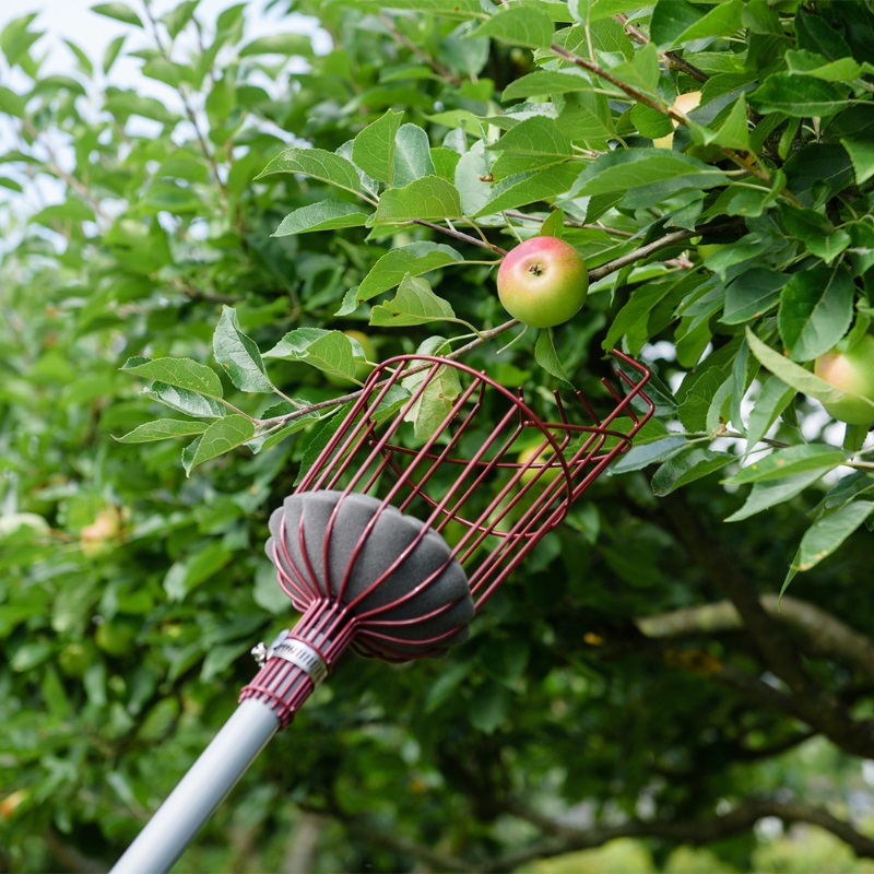 Kent & Stowe Telescopic Fruit Picker - image 2