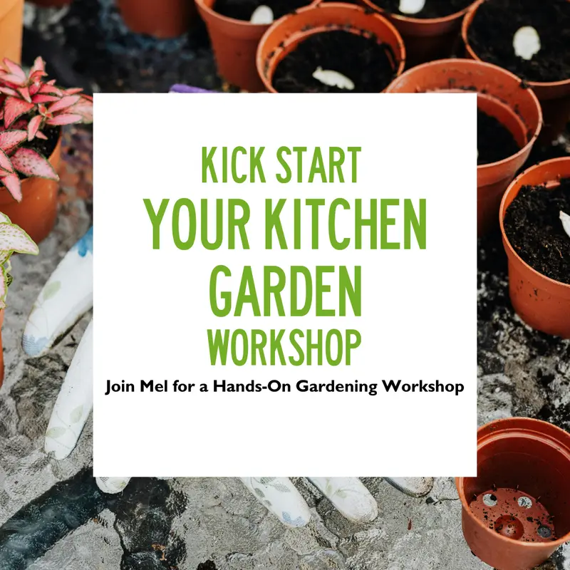 Kick Start Your Kitchen Garden Workshop 31 Jan