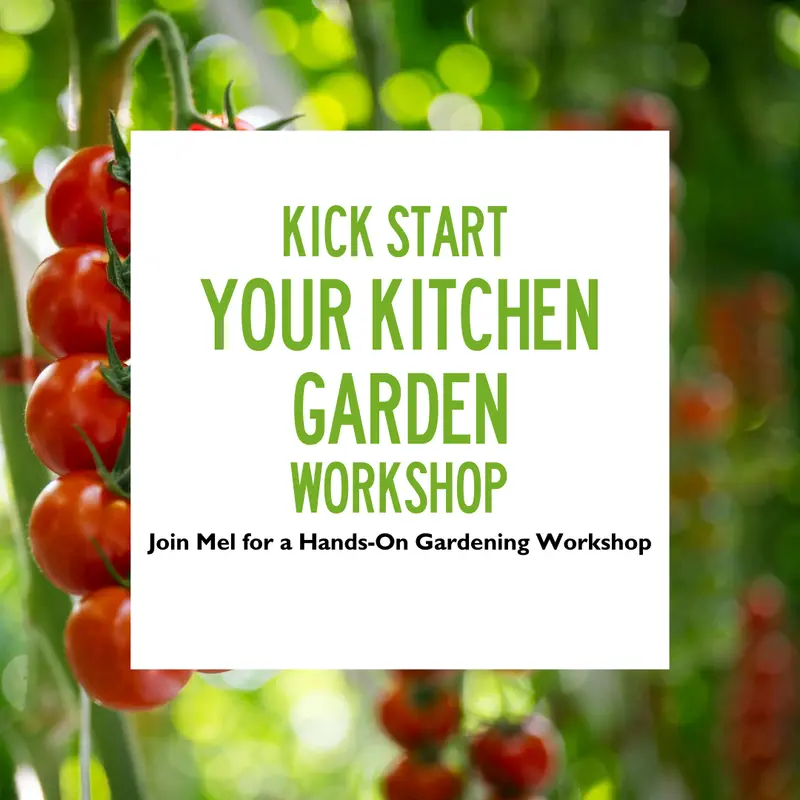 Kick Start Your Kitchen Garden Workshop 7 Mar