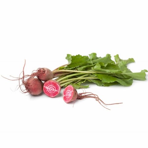 Kings Beetroot Barbabietola Di Chioggia Seeds