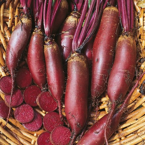 Kings Beetroot Cylindra Seeds