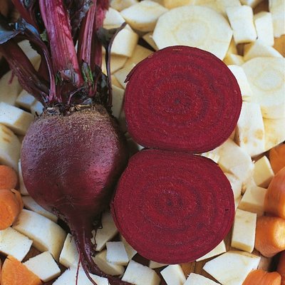 Kings Beetroot Detroit 2 Seeds